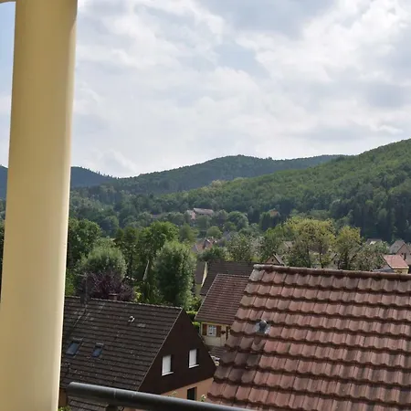 Le Brin D'Osier Apartamento Kaysersberg-Vignoble Exterior foto